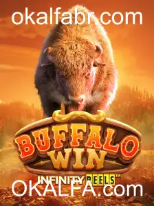 Explorando o Universo de BuffaloWin no OKALFA.com